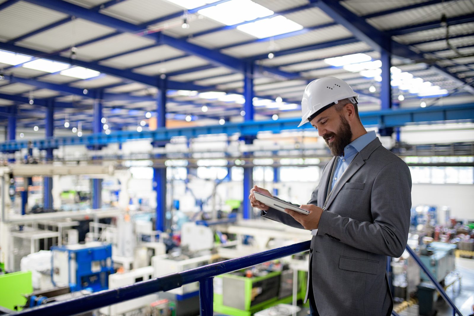 Raw Material, Technical, Financial and Legal Audits